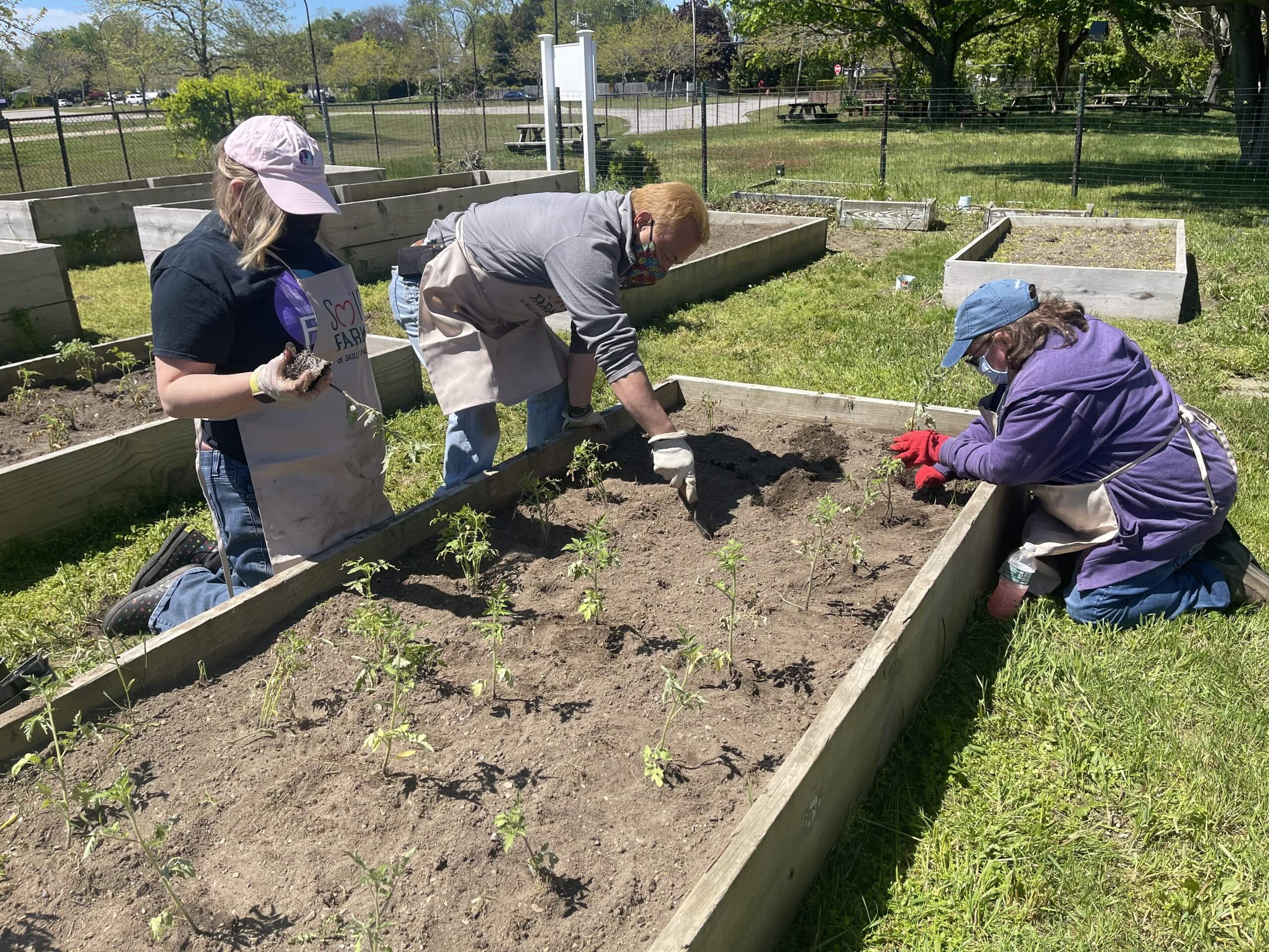 gardening-program-gives-individuals-with-disabilities-job-skills-self